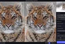 Topaz Photo AI 3.4.0 便携版 - 图像优化工具-福神网-专注分享最实用的软件、工具、资讯