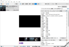 XviD4PSP 8.1.95 便携版 - 媒体转换工具-福神网-专注分享最实用的软件、工具、资讯
