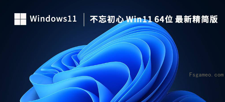 Win11 v23H2(22631.5335) 不忘初心纯净版