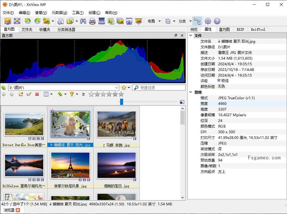 XnViewMP(图像查看器)v1.9.0中文破解版 第2张